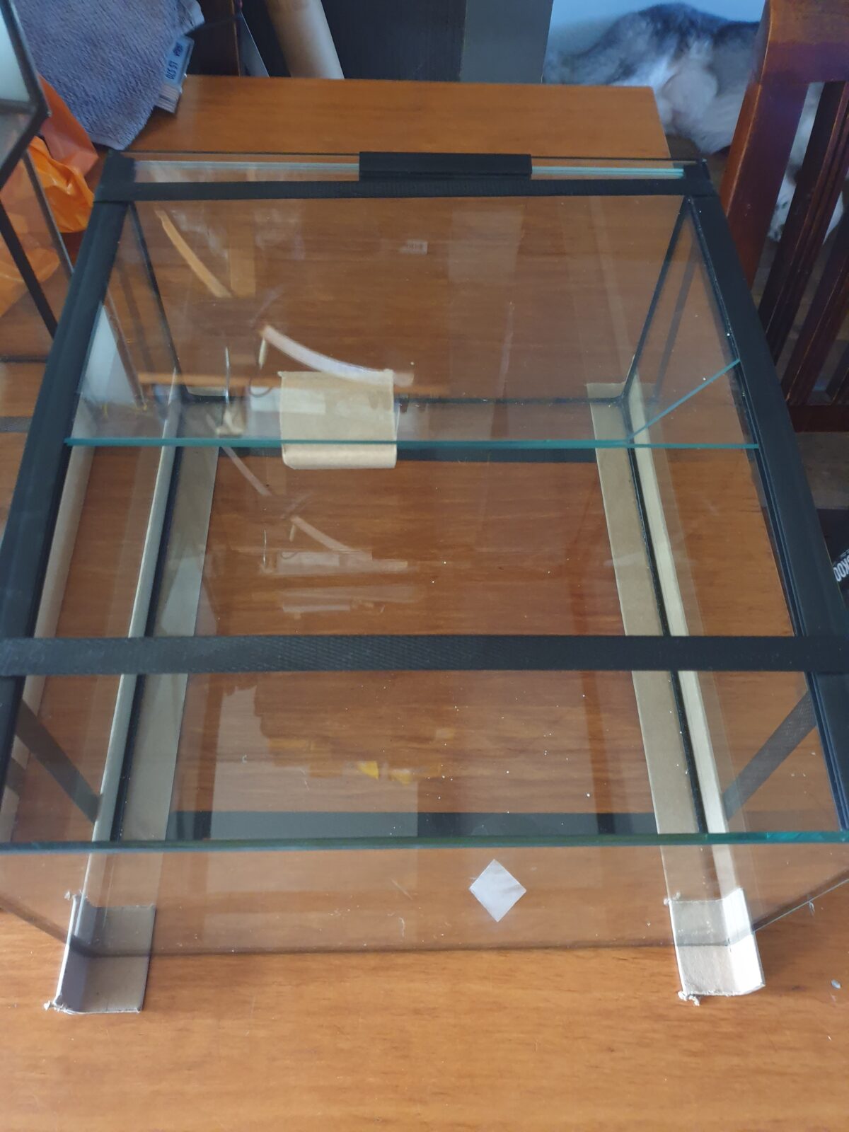 Kallax Aquarium 20 cm hoog. Zwarte kit. Shrimplovers