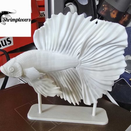Betta decoratie beeld
