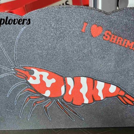 Lightbox "I Love Shrimps"